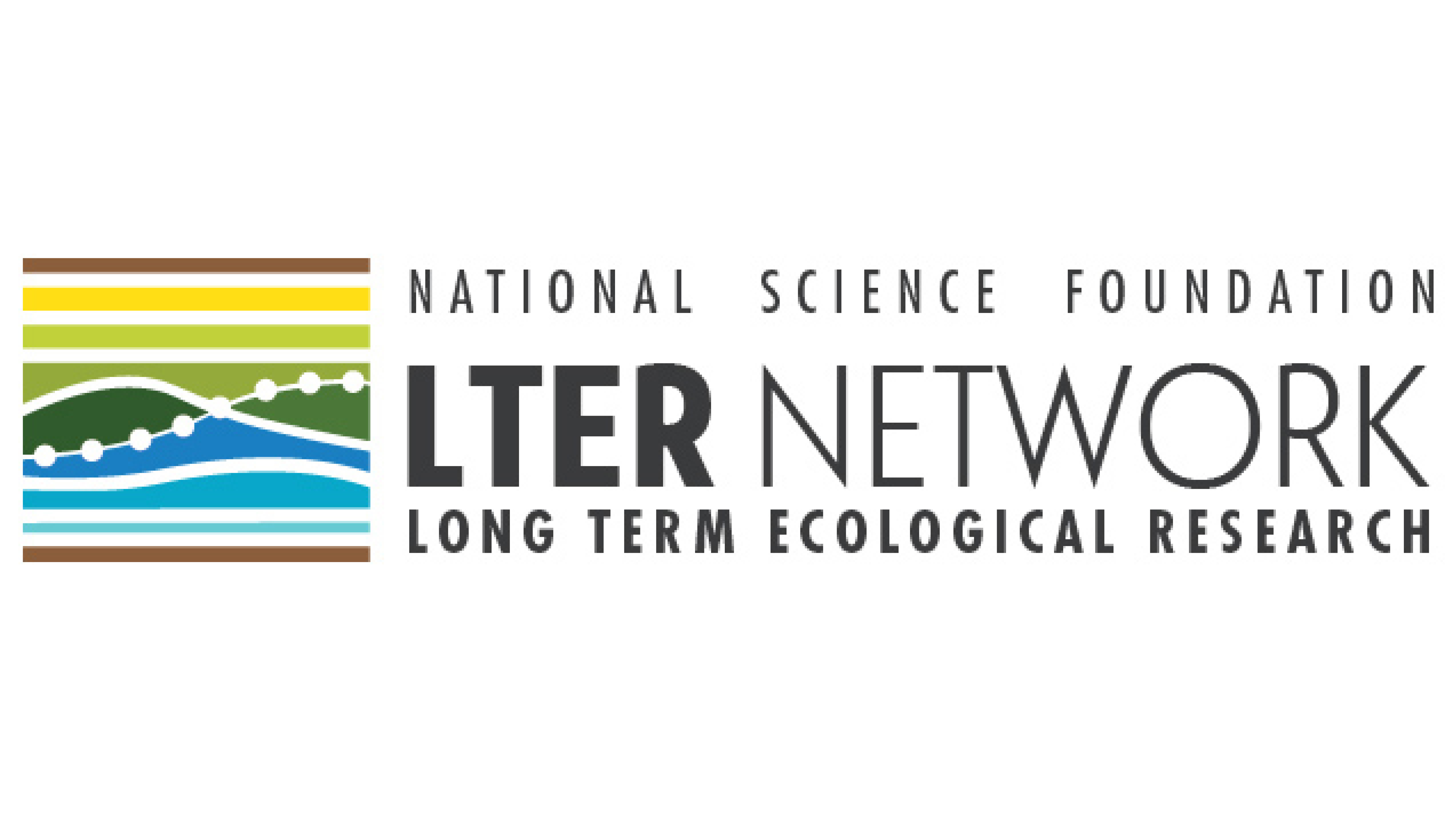 lter network